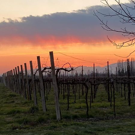 Agriturismo Richeton Gaiarine Kültér fotó