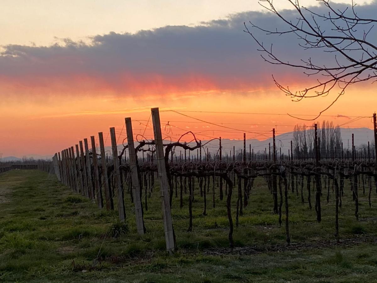 Agriturismo Richeton Gaiarine Kültér fotó